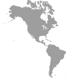 The America