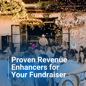 Proven Revenue Enhancers 300x300