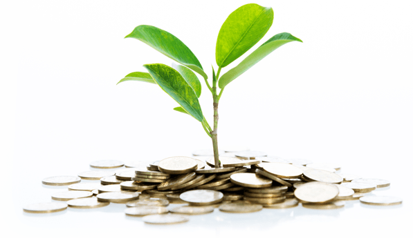 Sapling growing out of a pile of coins